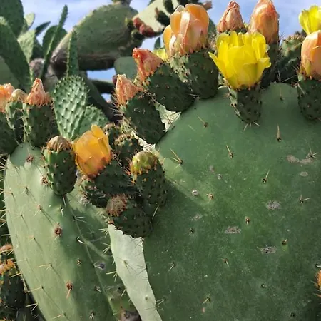 Alba Marina E Tramonti Etnei Riposto